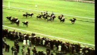 1971 Ayr Gold Cup Handicap [upl. by Garlinda715]