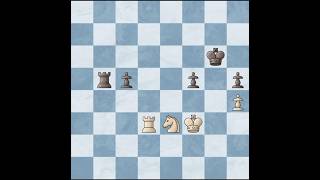 White Magnus Carlsen vs Black Levon Aronian  2024 10 chess chessgame shorts [upl. by Claudius935]