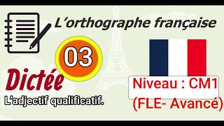 L’orthographe française  Dictée Avancé  03 [upl. by Eenahpets]