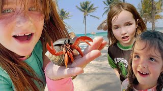 WE FOUND HERMiT CRABS Beach Animals Sand Castles and Playing in the Pool with Adley Niko amp Navey [upl. by Atiana353]