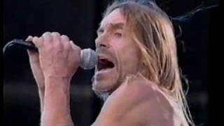 Iggy Pop with Whitey Kirst Death Is Certain [upl. by Assylla]