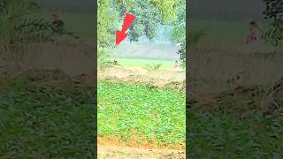 Samsung S23 ultra ka zooming power reels subscribe ytshorts shortvideo shorts s23 shortsfeed [upl. by Sidhu]