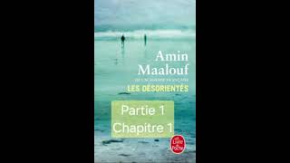 11  Les désorientés de Amin Maalouf  livre audio  chapitre 1 début [upl. by Ibor]