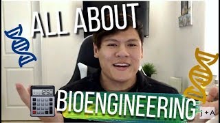 What Bioengineering Majors Do  Research Extracurriculars School [upl. by Morehouse]