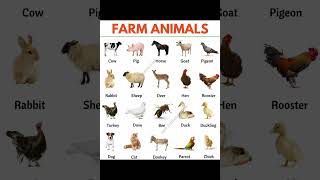 pet animals name Farm animalslist of pet animals meaningfarmanimalsEnglishshortsfeed [upl. by Klotz]