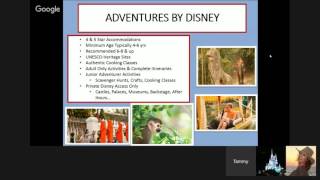 Disney 101The Magic Is In The Details Travel Agent Training amp Tips With Tammy Walker CTA [upl. by Zsamot]