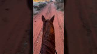 Dakotas first English trail ride🥰 letshowdakota [upl. by Frankie899]