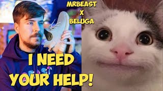 Beluga Collabs with MrBeast [upl. by Erehc]