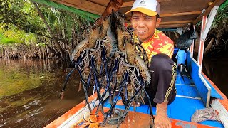 Sangat memuaskan mancing kali ini 1 spot sampai 4 babon udang berhasil diselamatkan [upl. by Annaehr788]