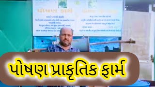 રાજુ ભાઈ પટોડિયા 🧑🏻‍🌾🧑🏻‍🌾🧑🏻‍🌾  ગાય આધારિત ખેતી  વાઘાણી વસ્તાભાઈ [upl. by Hanahsuar771]