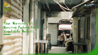 【 Nanjing Life 】Your Mornings at Nanjing Pudong Road Vegetable Market [upl. by Sheline194]