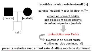 Comment démontrer quune maladie héréditaire se transmet de manière dominante [upl. by Limber]