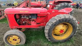 1951 MasseyHarris Pony 811 12 Litre 4Cyl Petrol  TVO Narrow Orchard Tractor 16 HP [upl. by Airbas]