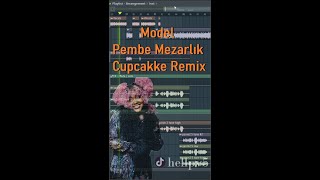 Pembe Mezarlık Cupcakke Remix [upl. by Edora]