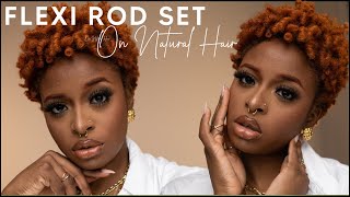 IN DEPTH FLEXI ROD SET for Short Thick Natural Hair [upl. by Alcinia]