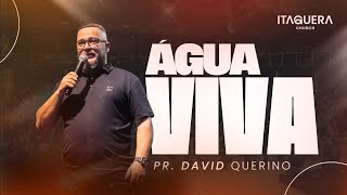 ÁGUA VIVA  PR DAVID QUERINO [upl. by Odnesor]