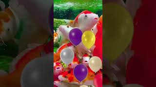 Fish eating balloon  balloon pop  kids shorts [upl. by Tice360]