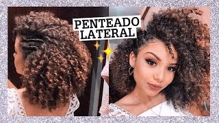 PENTEADO DE FESTA P CABELOS CACHEADOS E CRESPOS  AnaTodoDia 05 [upl. by Evelin805]