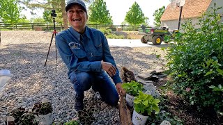 Planting 3 Full Sun amp 3 Shade Containers in My Parent’sGarden 🥰🪴🌸  Garden Answer [upl. by Fuchs]