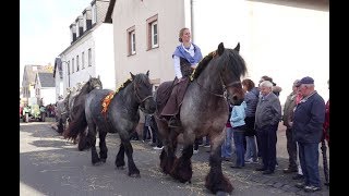 Historisches Erntedankfest in Blankenheim Dollendorf 01102017 [upl. by Ainavi280]