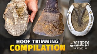 4K FARRIER ASMR  COMPILATION OF SATISFYING HORSE HOOF TRIMMING [upl. by Atineb]