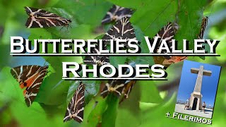 Valley of Butterflies Rhodes  Petaloudes   trip to Filerimos 💖 Greece 👀  walking tour [upl. by Hsetih371]