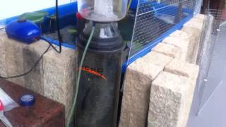 Marine protein skimmer on freshwater koi pond [upl. by Marcos]