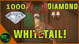 The BIGGEST DIAMOND WHITETAIL of Call of the Wild [upl. by Yerd]