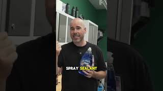 Can you Remove Clean Coat Wax amp Sealant with Dawn Dish Soap [upl. by Amedeo269]