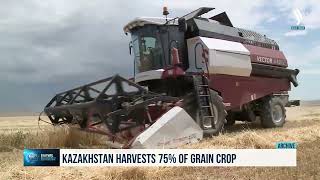 Kazakhstan harvests 75 of grain [upl. by Alistair]