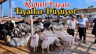 Kadirli Hayvan Pazarı Fiyatlar Düşüyor  İŞTE 2024 KURBANLIK FİYATLARI [upl. by Enamrej]