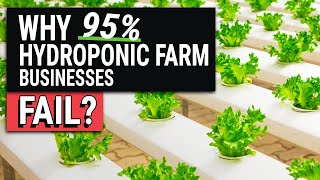 10 Reasons Hydroponic Farm Businesses Fail [upl. by Ahsener187]