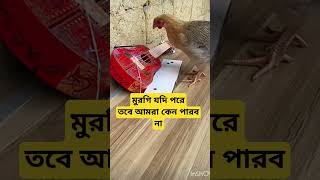 চেষ্টা করলেই হবে trendingdances funny kenolagesunnosunno trendingnow cutebaby cutebaby [upl. by Robma]