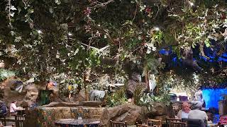 Rainforest Cafe Ontario Mills Storm [upl. by Euqinwahs]