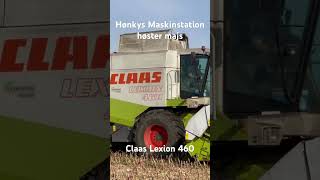 Hønkys Maskinstation høster majs med Claas Lexion 460 [upl. by Cela]