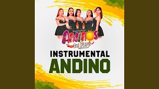 Instrumental andino [upl. by Hellene]