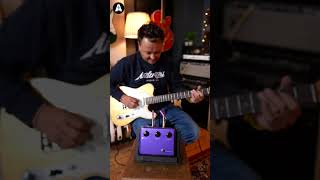 Tube Screamer vs Klon guitarpedals guitar pedals [upl. by Standing]