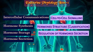 Intercellular Communications  Hormone ClassificationSynthesis Secretion EliminationRegulation [upl. by Gusba]