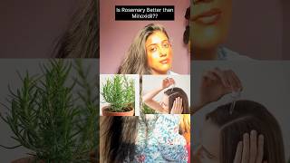 Rosemary vs Minoxidil which is better   Haircare for growth haircare shorts [upl. by Malanie]