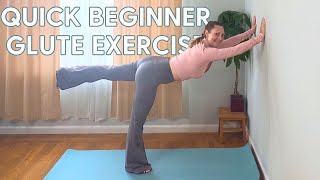 Beginners Wall Pilates Strengthen Legs with Leg Lifts Part 1 [upl. by Bing]