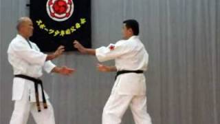 uechi ryu the shinjo dojo demo okinawa ווייצי ריו קראטה הדגמה מדהימה [upl. by Hpejsoj934]