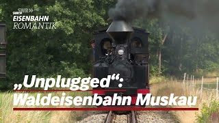 quotUnpluggedquot Waldeisenbahn Muskau Dampfbahn Route Sachsen  EisenbahnRomantik [upl. by Haile]