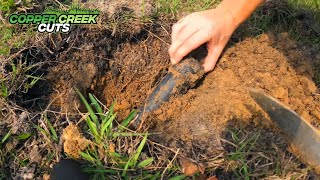 How To Fix A Buried Sprinkler Head [upl. by Hebner975]