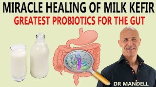 MIRACLE HEALING OF MILK KEFIRGREATEST PROBIOTICS FOR THE GUT  Dr Alan Mandell DC [upl. by Shawna]