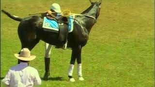 Australian Polocrosse National Championships  Sydney 2006  Intermediate Mens Final  NSW vs QLD [upl. by Moishe249]