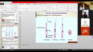 Trypanosomes lecture by Dr Ajit Kumar Dept of Parasitology BVC Patna [upl. by Anilram]