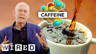 How Caffeine Addiction Changed History ft Michael Pollan  WIRED [upl. by Ransom191]