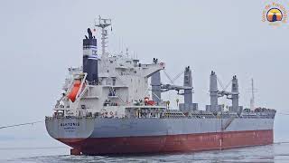 UNBERTHING  VESSEL ALKYONIS  PORT OF PARANAGUA  BRAZIL [upl. by Aloivaf159]