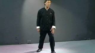 The Inner Journey of Tai Chi Chuan Lesson 1 [upl. by Aivil]