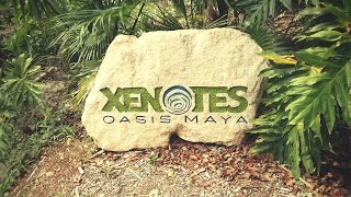 Xenotes El Oasis entre Cancún y Puerto Morelos [upl. by Jayne36]